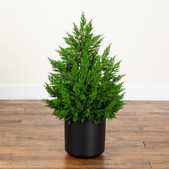 Nearly Natural 3ft. Unlit Real Touch Winter Cypress Artificial Potted Christmas Tree